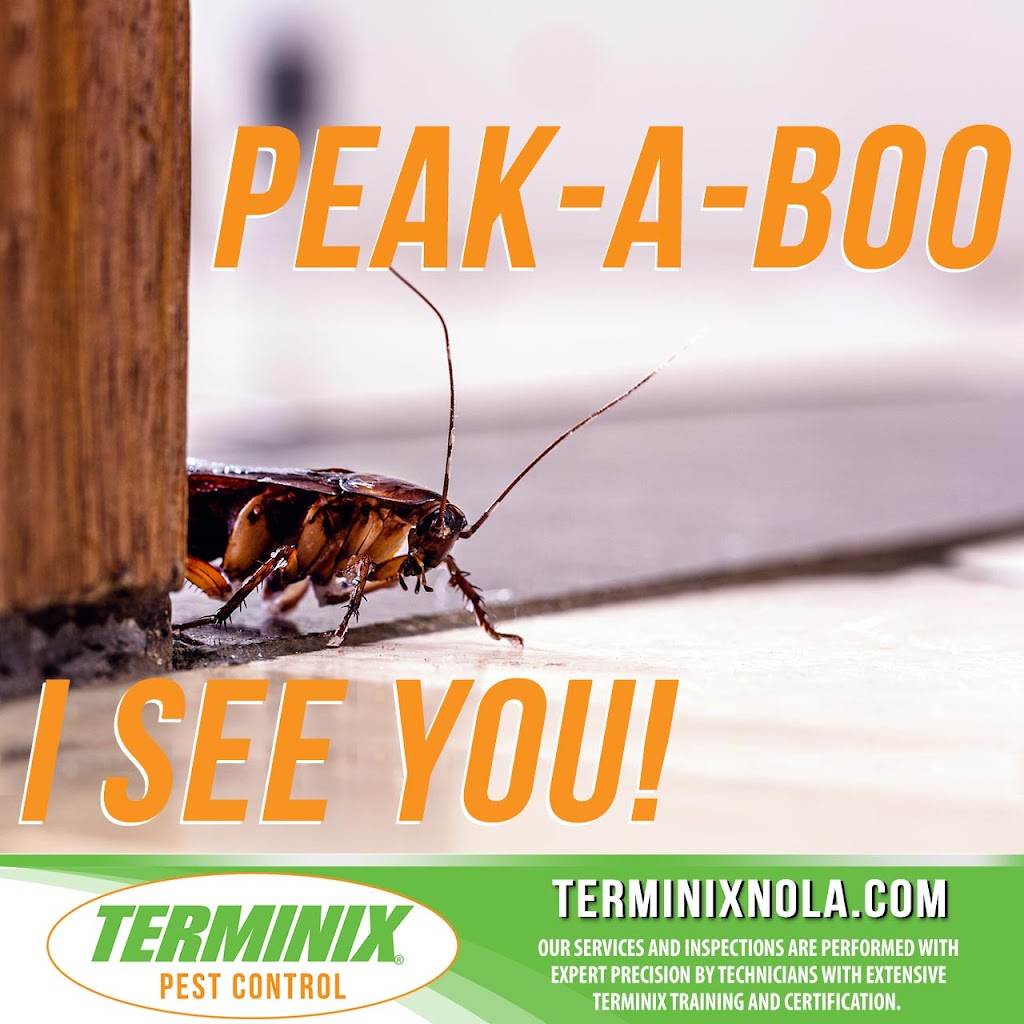 Terminix Northshore | 4990 LA-22 Suite A, Mandeville, LA 70471, USA | Phone: (985) 892-4450