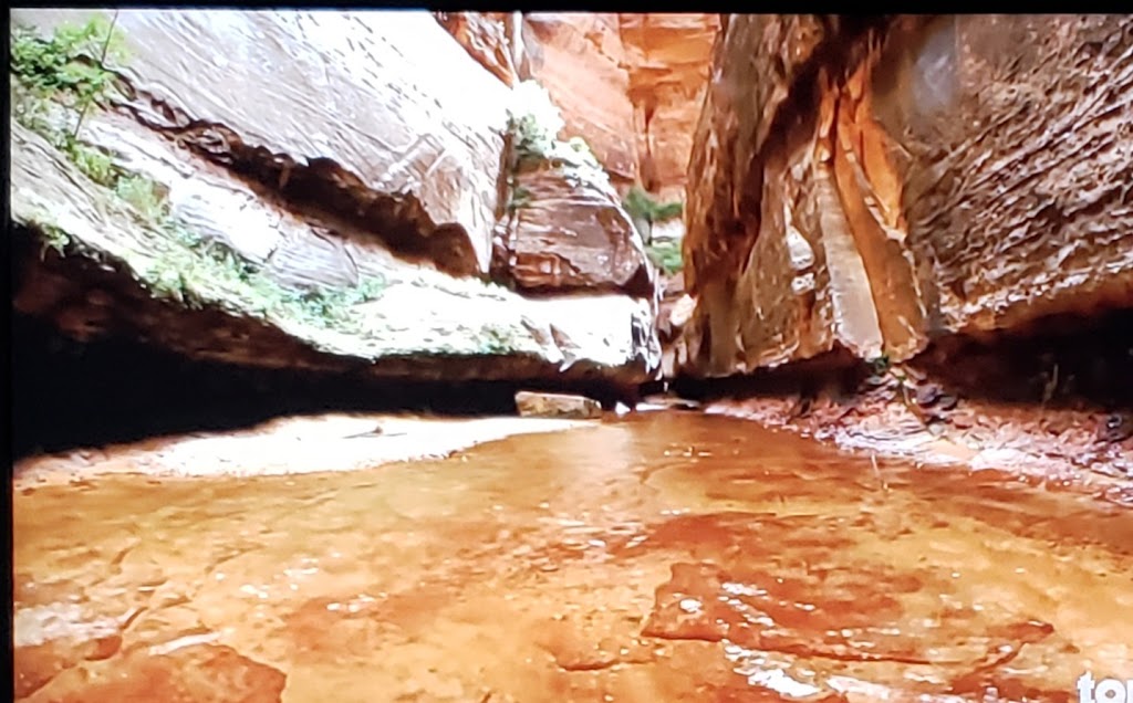 Corner Store | 1636 S Higley Rd, Gilbert, AZ 85295, USA | Phone: (480) 783-2029