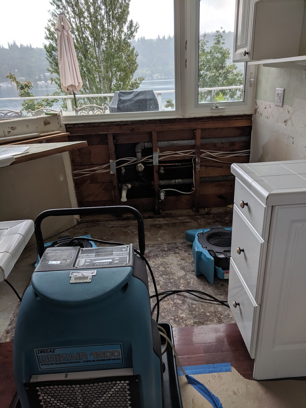 Alpine Cleaning and Restoration | 1620 75th St SW, Everett, WA 98203, USA | Phone: (425) 970-8205