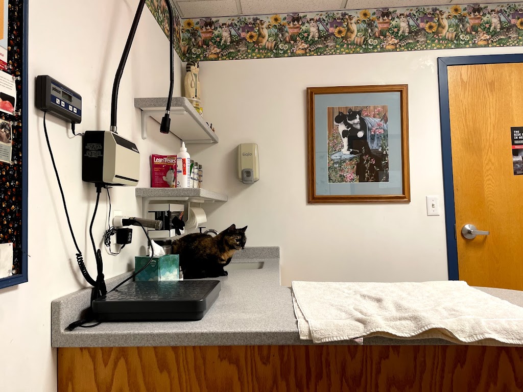 Burnsville Animal Clinic | 13748 Nicollet Ave, Burnsville, MN 55337, USA | Phone: (952) 890-9696