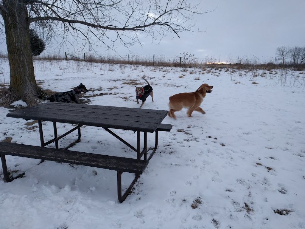 Badger Prairie Dog Park | Verona, WI 53593, USA | Phone: (608) 288-6164
