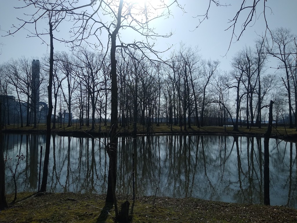 Indian Grove Campground | 15025 N 4th Ave, Donnellson, IL 62019, USA | Phone: (618) 690-2047