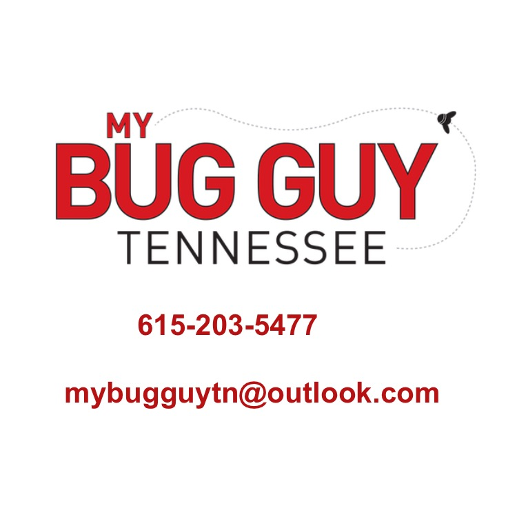 My Bug Guy, LLC | 613 Fairview Ave, Murfreesboro, TN 37130, USA | Phone: (615) 203-5477