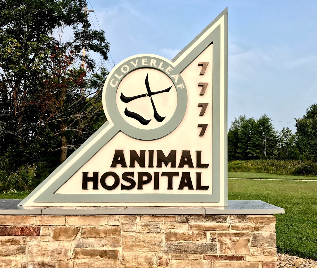 Cloverleaf Animal Hospital | 7777 Greenwich Rd, Lodi, OH 44254, USA | Phone: (330) 948-2002