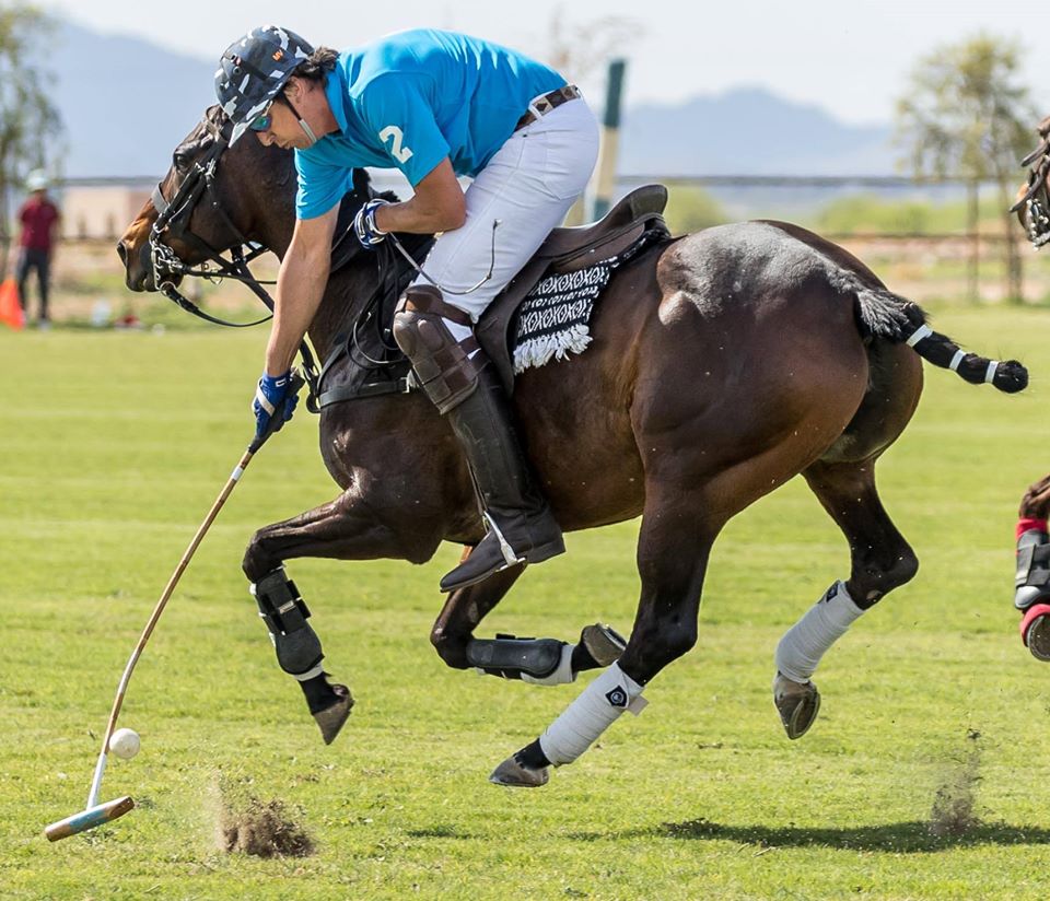 Cave Creek Equine Sports Medicine & Surgery | 34705 N 14th St, Phoenix, AZ 85086, USA | Phone: (623) 581-5508