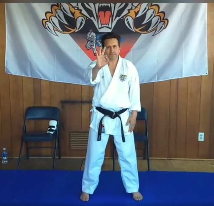 Japanese Martial Arts Academy | 2300 S Venoy Rd, Westland, MI 48186, USA | Phone: (734) 447-3000