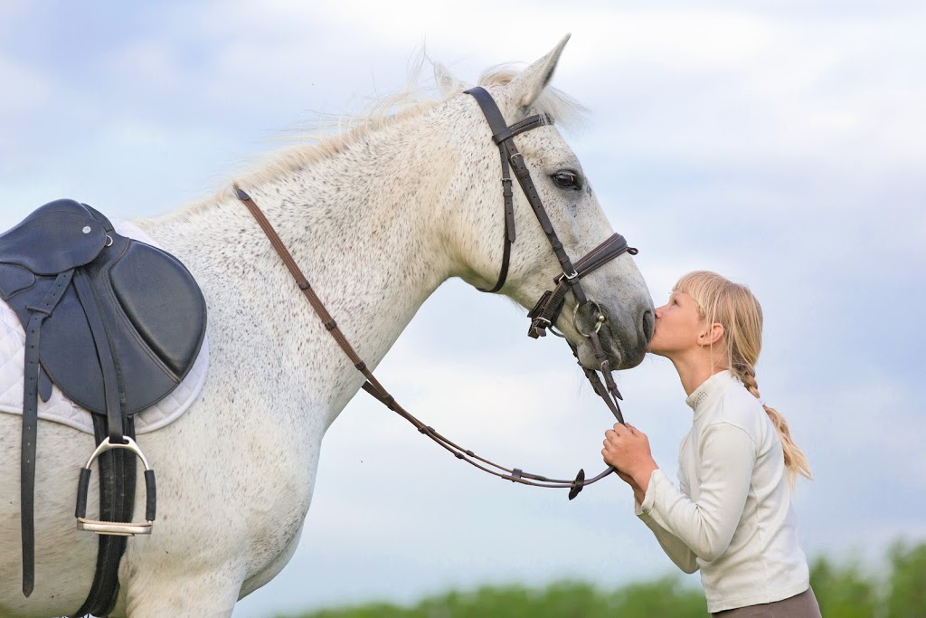 Healing Horse Therapy | 30608 NE Mc Bride Rd #1, Battle Ground, WA 98604, USA | Phone: (360) 798-2669