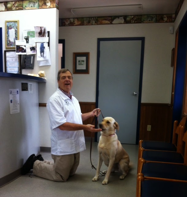 Emerywood Veterinary Hospital PA | 812 W Lexington Ave, High Point, NC 27262, USA | Phone: (336) 885-7575