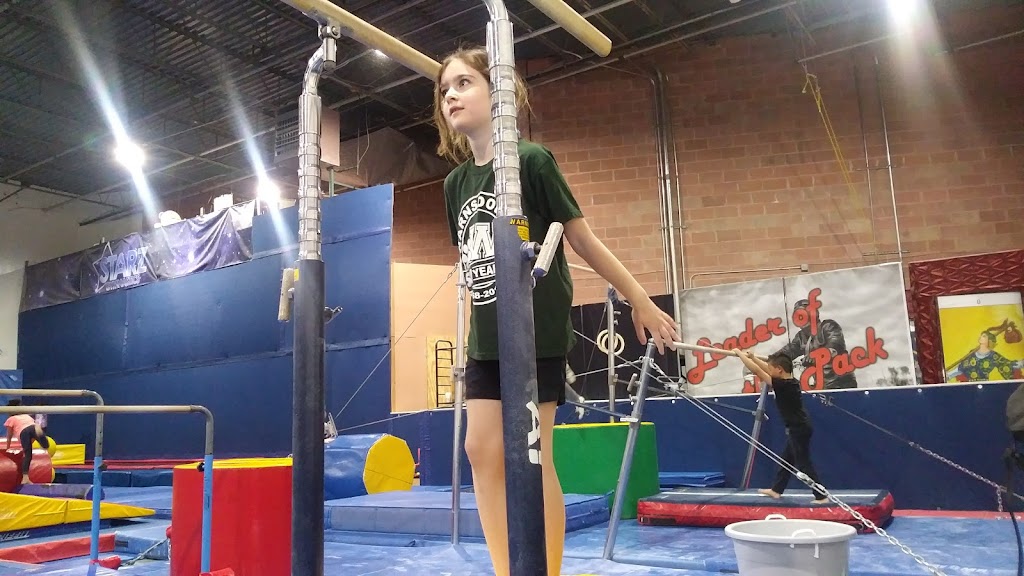 Starz Gymnastics | 10 Alvin Ct Suite 104, East Brunswick, NJ 08816 | Phone: (732) 238-7990