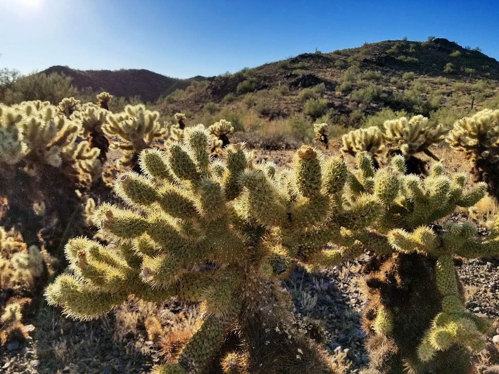 Desert Vista Trailhead | 1901 W Desert Vista Trail, Phoenix, AZ 85085, USA | Phone: (602) 495-6939