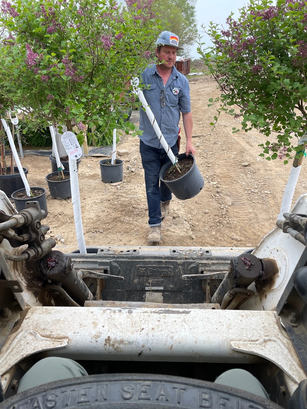 Good Times Horticulture Company | 3835 W 600 N, Fremont, IN 46737, USA | Phone: (260) 570-5496