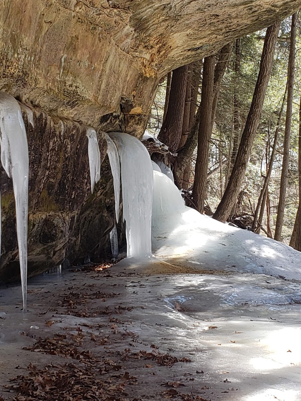 Pine Hollow State Natural Area | North Freedom, WI 53951, USA | Phone: (608) 356-5300