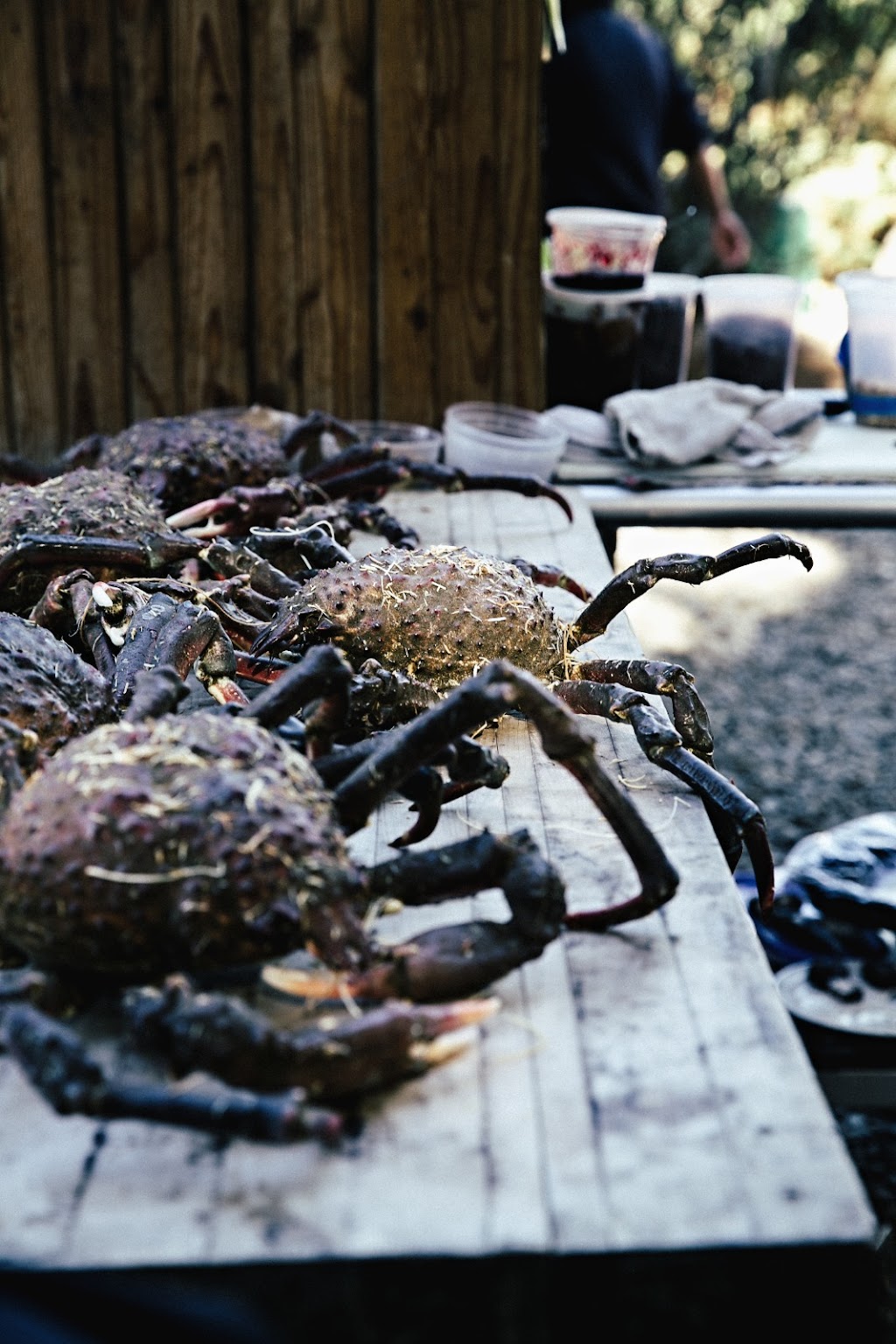 Deckmans | Carretera Ensenada-Tecate Km. 85.5 San Antonio de Las Minas, 22753 Francisco Zarco, B.C., Mexico | Phone: (619) 721-4820