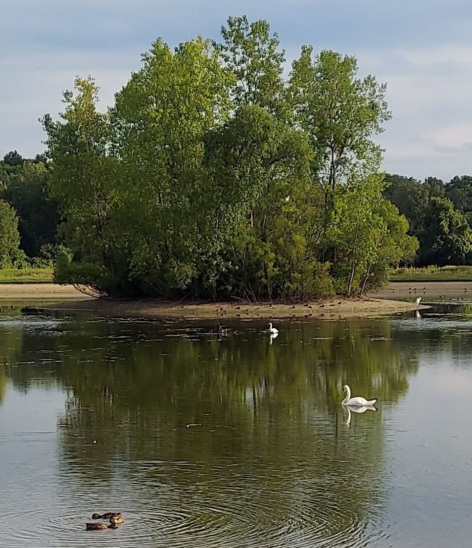 Drayton Plains Nature Center | 2125 Denby Dr, Waterford Twp, MI 48329, USA | Phone: (248) 674-5441