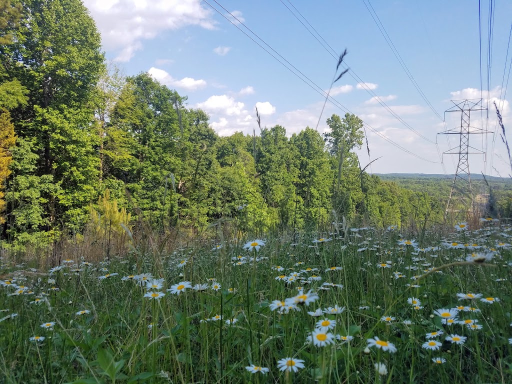 Eno River State Park | 6101 Cole Mill Rd, Durham, NC 27705, USA | Phone: (919) 383-1686