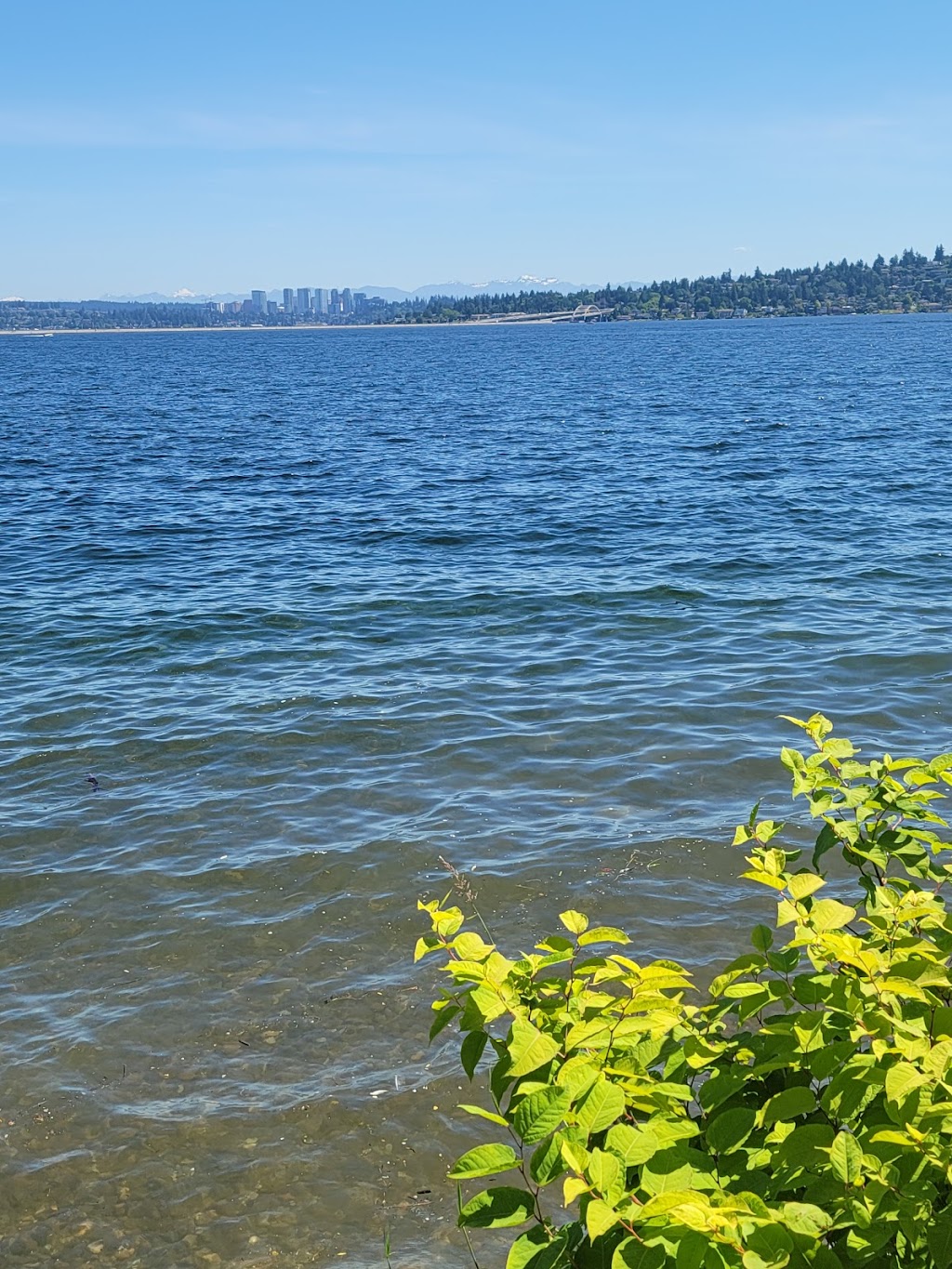 Lake Washington Boulevard Park | Seattle, WA 98144, USA | Phone: (206) 684-4075