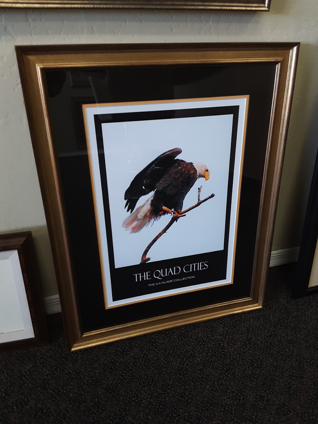 Framed Expressions LLC, Custom Picture Framing | 13527 W Camino Del Sol, Sun City West, AZ 85375, USA | Phone: (623) 975-3333