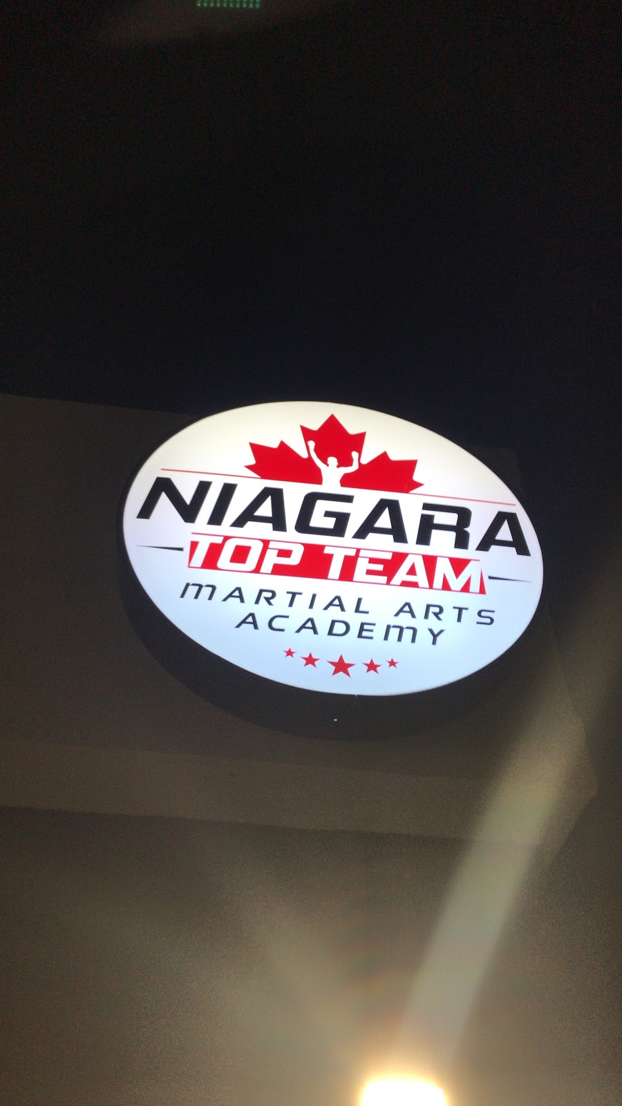 Niagara Top Team | 325 Welland Ave, St. Catharines, ON L2R 2R2, Canada | Phone: (519) 829-8717