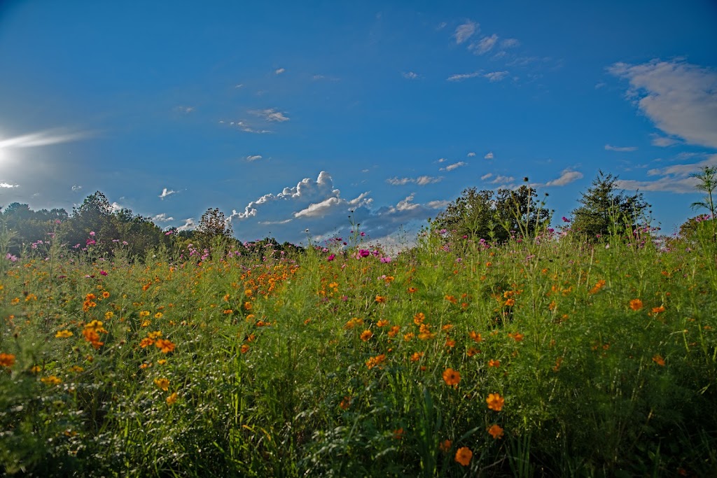 Beckley Creek Park | 1411 Beckley Creek Pkwy, Louisville, KY 40245, USA | Phone: (502) 584-0350