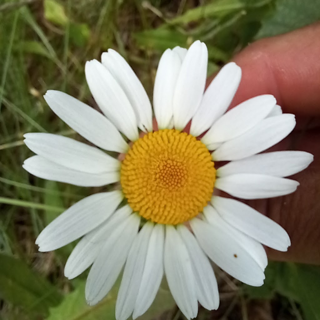 Connors Lake Park | 5404 Jewel Lake Rd, Anchorage, AK 99502, USA | Phone: (907) 343-4355