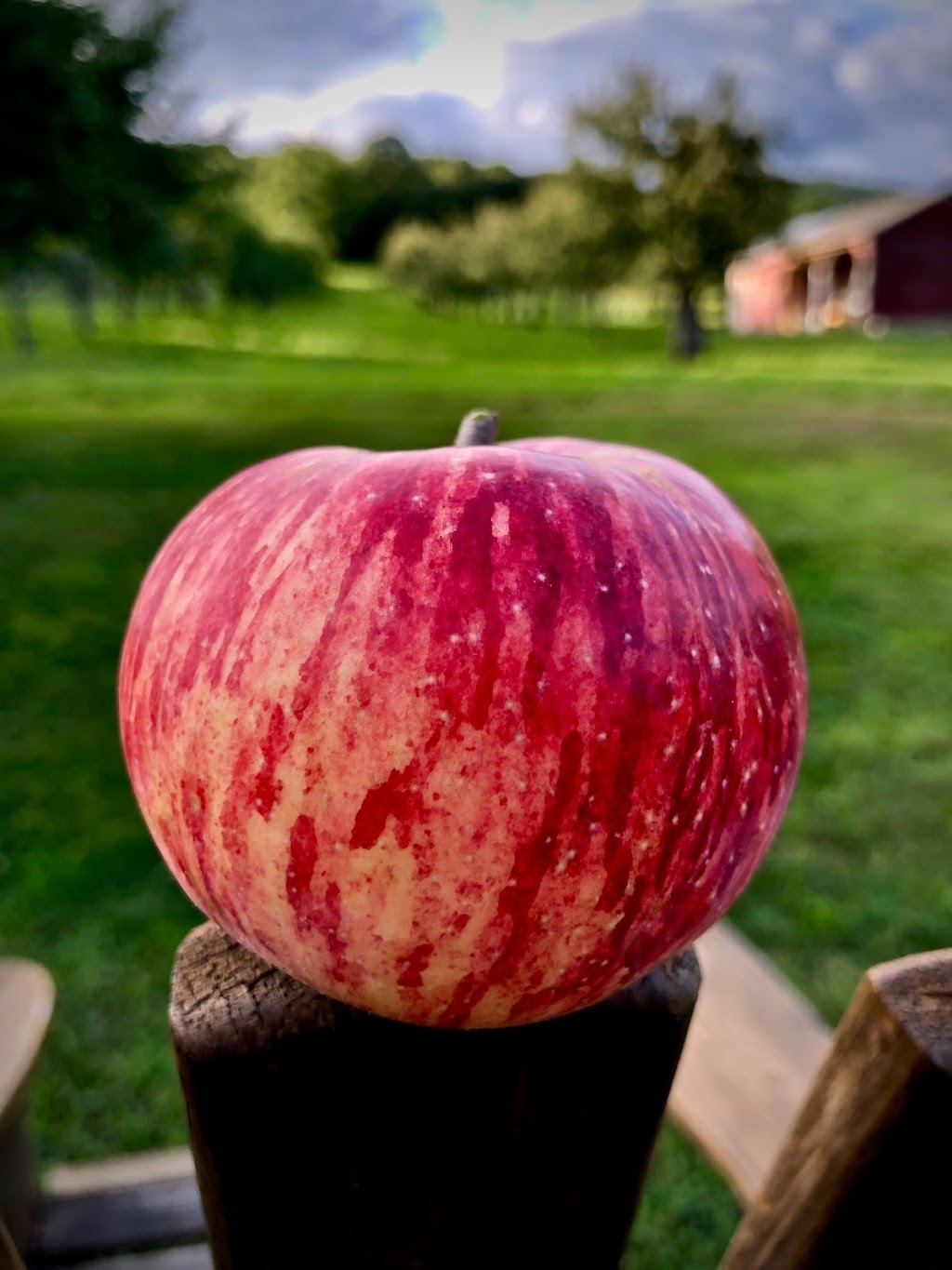 Little Apple Cidery | 178 Orchard Ln, Hillsdale, NY 12529, USA | Phone: (917) 287-6339