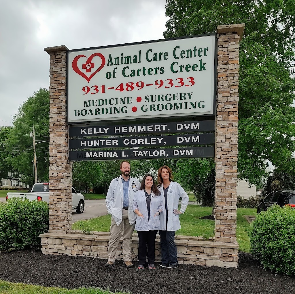 Animal Care Center of Carters Creek | 2690 Spring Meade Blvd, Columbia, TN 38401, USA | Phone: (931) 489-9333