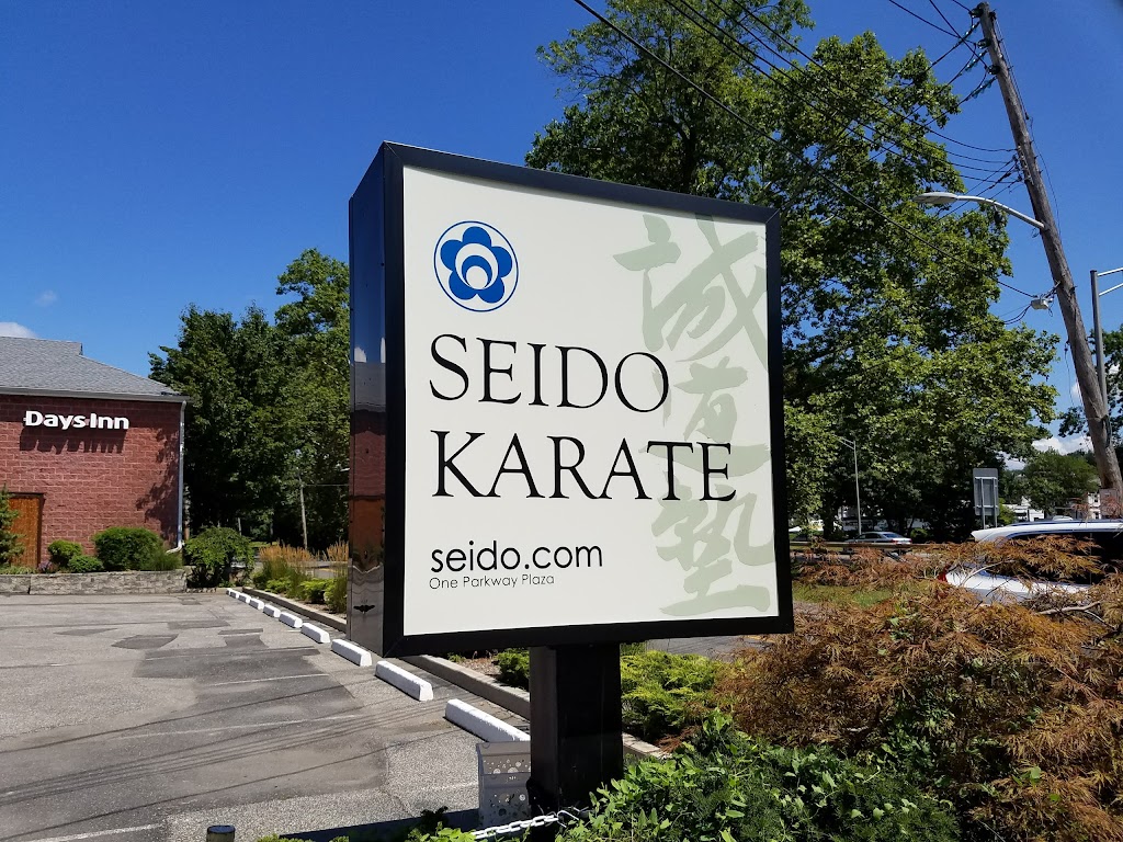 World Seido Karate Organization | 1 Parkway Plaza, Elmsford, NY 10523 | Phone: (914) 909-5000