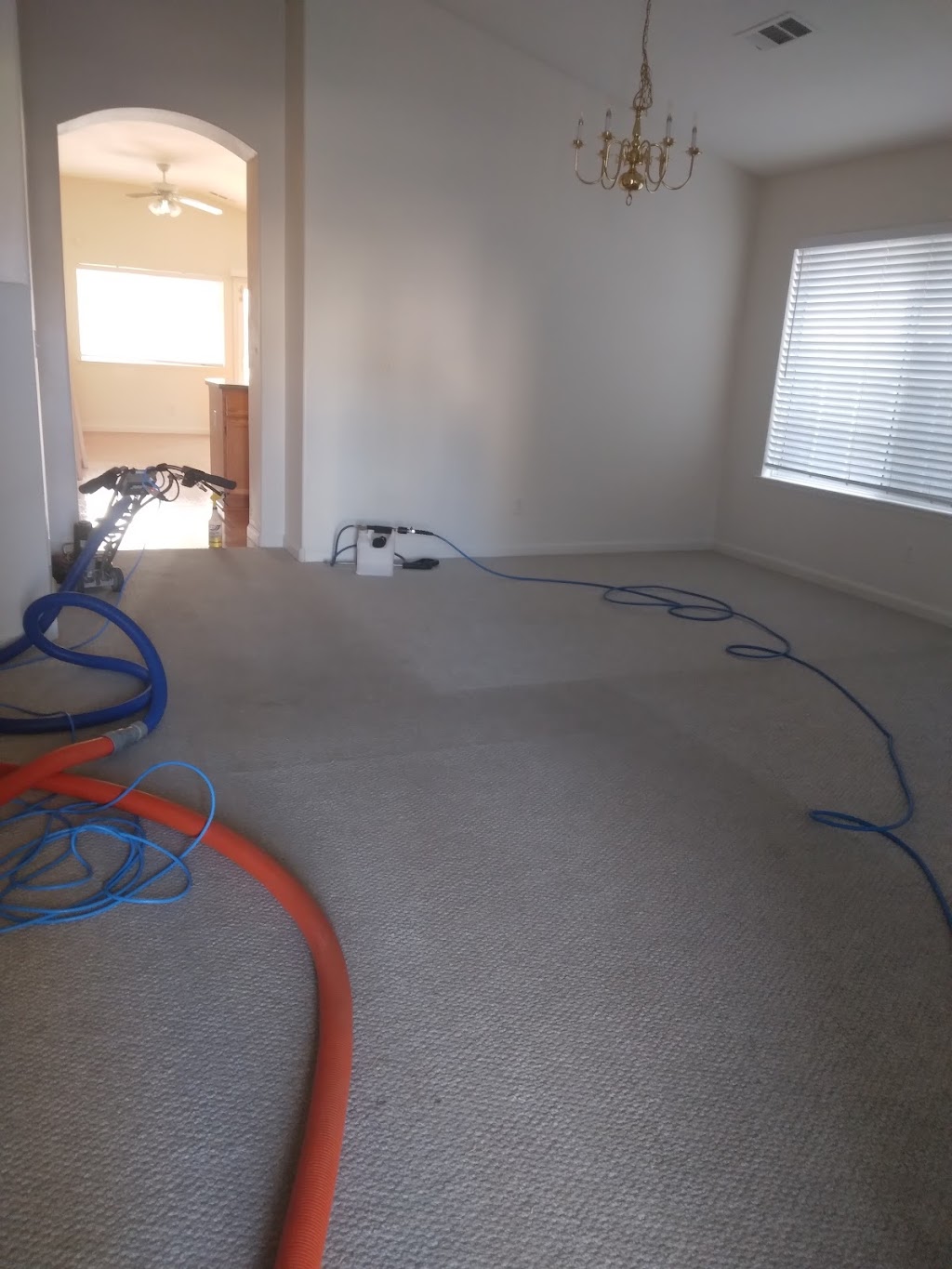 AMS Carpet Cleaning | 3925 E Orangeburg Ave, Modesto, CA 95355, USA | Phone: (209) 531-7073