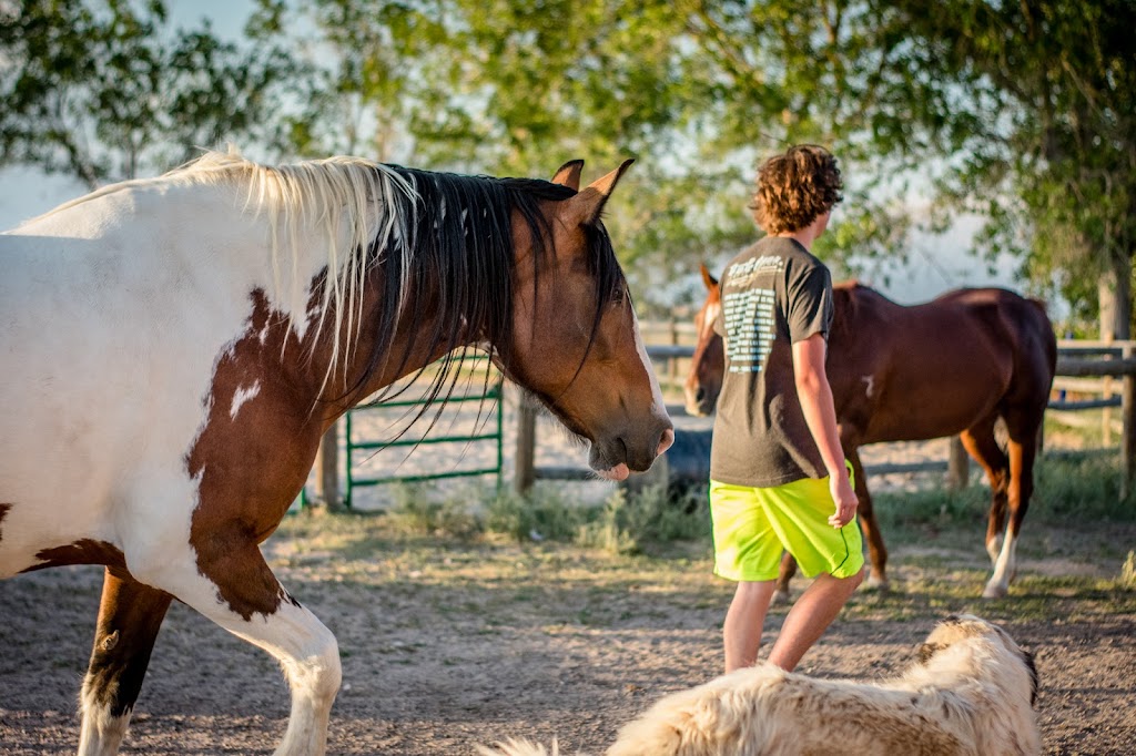 Hope Farms | 47695 Foxwood Dr, Elizabeth, CO 80107, USA | Phone: (720) 217-2959