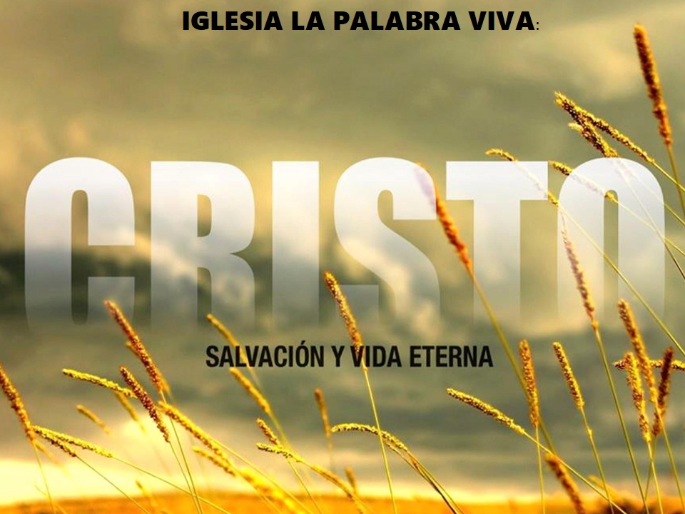 Iglesia La Palabra Viva | 414 N Main St, Troy, NC 27371, USA | Phone: (336) 484-1827