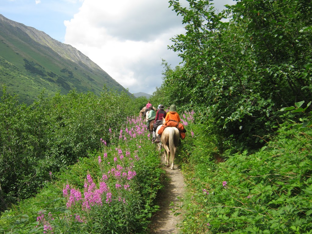 Alaska Horsemen Trail Advntrs | 35090 Quartz Creek Rd, Cooper Landing, AK 99572, USA | Phone: (907) 595-1806