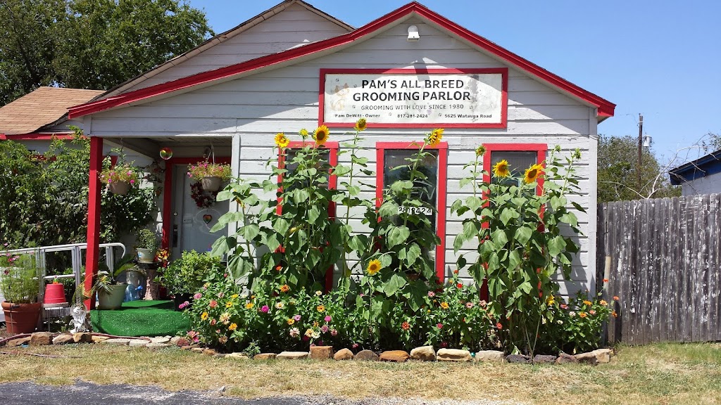 Pams All Breed Pet Grooming | 5625 Watauga Rd A, Watauga, TX 76148, USA | Phone: (817) 281-2424