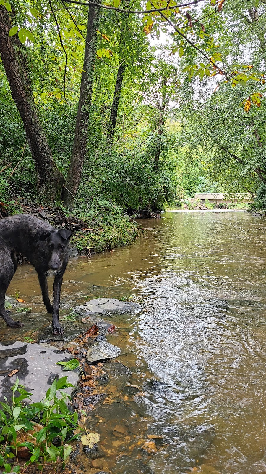 Silver Creek, John Stephenson Trail | Berea, KY 40403, USA | Phone: (859) 985-3000