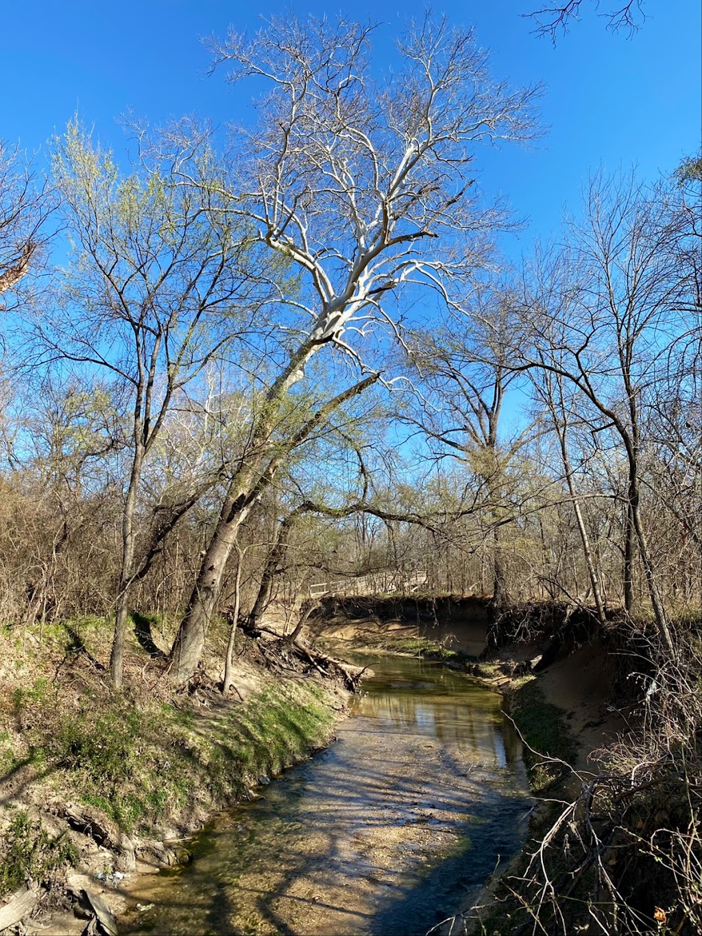 Amphitheater at Oak Point Park | 2801 E Spring Creek Pkwy, Plano, TX 75074, USA | Phone: (972) 941-5600