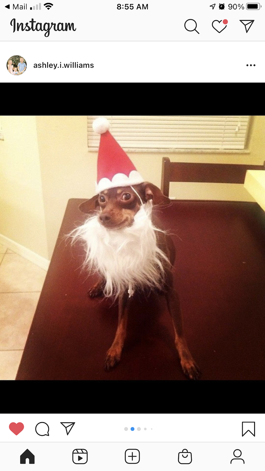 Pet Wants Bradenton | 5602 33rd Ln E, Bradenton, FL 34203, USA | Phone: (941) 920-9202