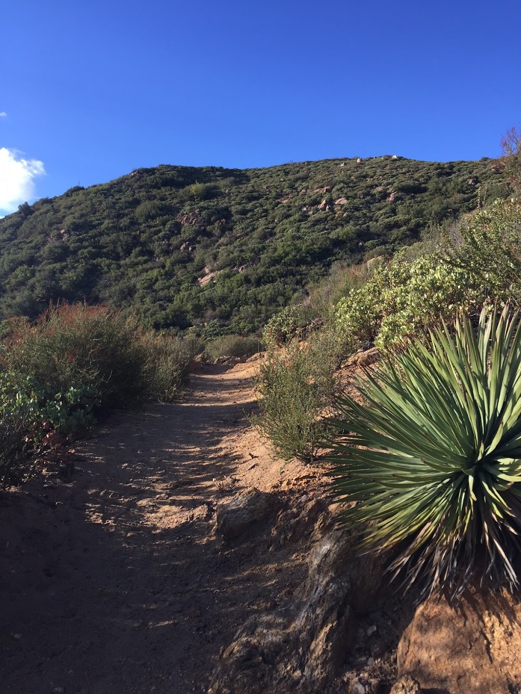 Cahuilla Mountain Trail 2E45 | Forest Rte 7S04, Aguanga, CA 92536, USA | Phone: (909) 382-2921