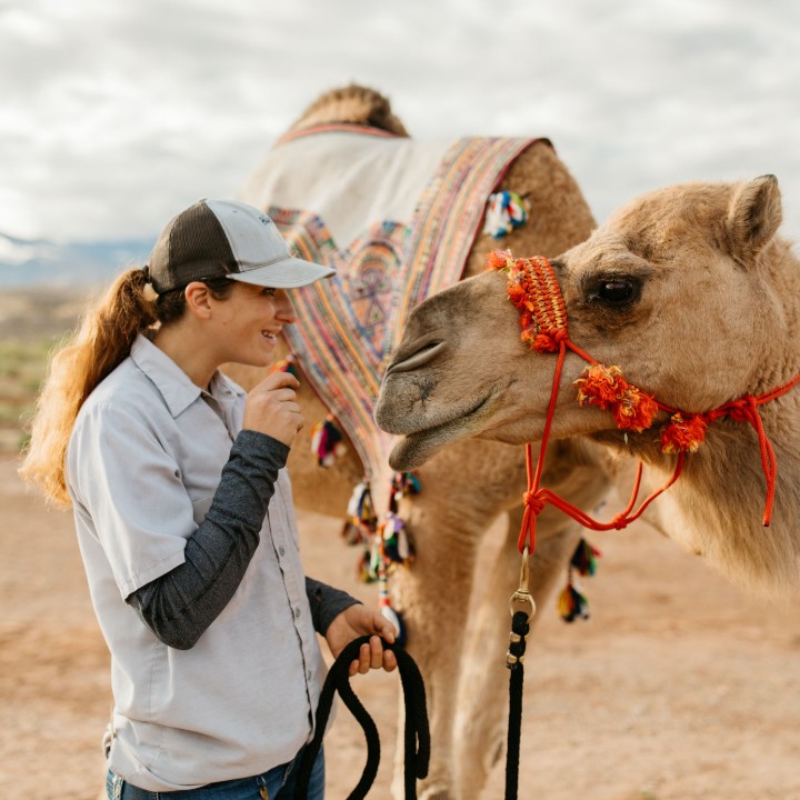 Camel Safari Las Vegas | 2725 River Cliff Rd, Bunkerville, NV 89007, USA | Phone: (800) 836-4036