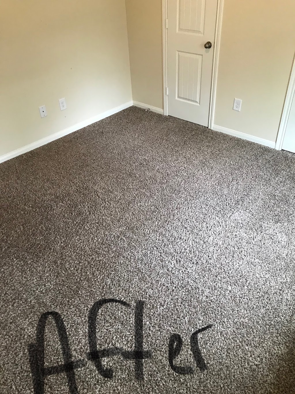 Tex A Clean Carpet Care LLC League City | 3819 Melody Ln, Bacliff, TX 77518, USA | Phone: (281) 886-0009