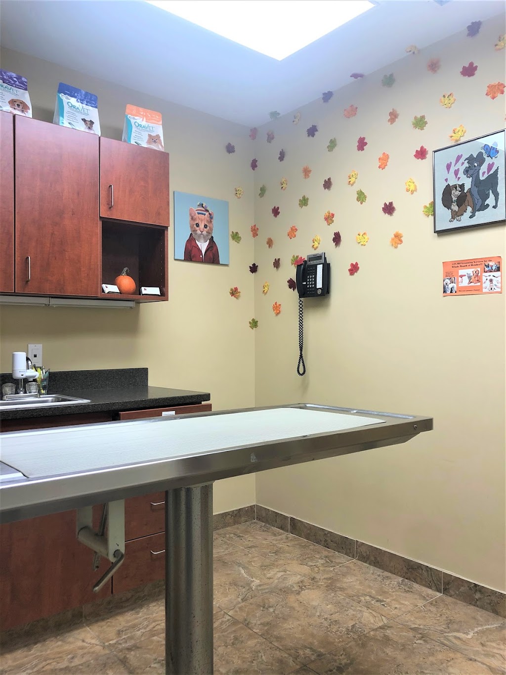 Greenwich Veterinary Center | 264 West Putnam Avenue, Greenwich, CT 06830, USA | Phone: (203) 661-1437