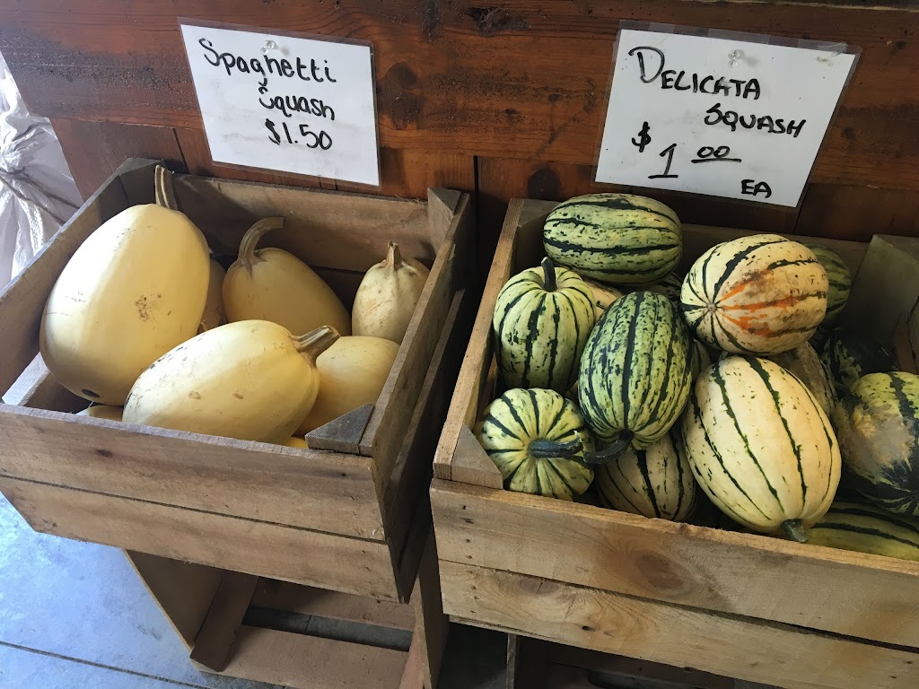 Giulitto Farms Market | 4052 Lake Rockwell Rd, Ravenna, OH 44266, USA | Phone: (330) 819-1724