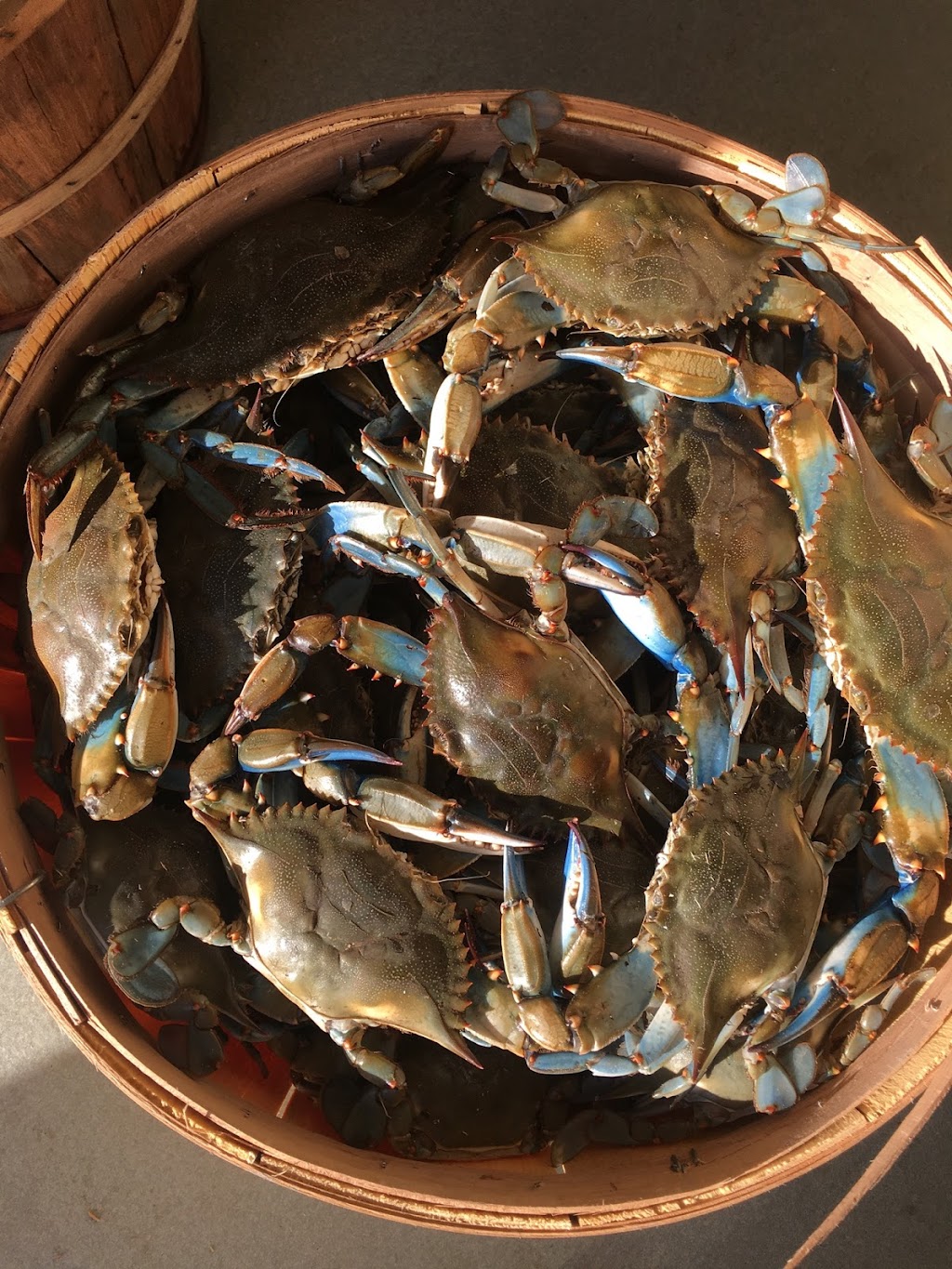 Cox Creek Crab & Seafood Company | 3076 Solomons Island Rd, Edgewater, MD 21037, USA | Phone: (443) 288-3040