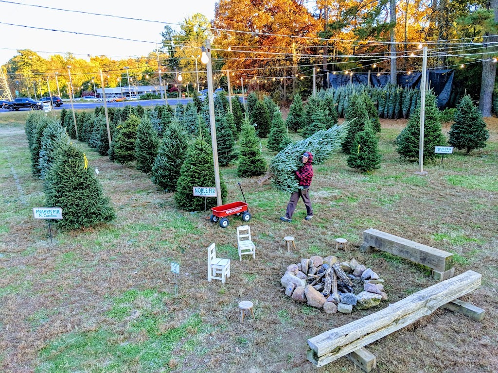 Christmas Trees | Photo 9 of 10 | Address: 7770 Roswell Rd, Sandy Springs, GA 30350, USA | Phone: (678) 250-6149