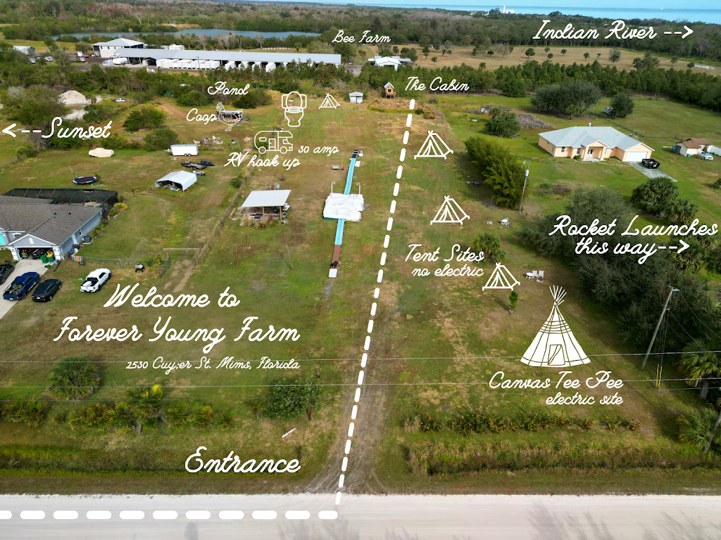 Forever Young Farm Campground | 2530 Cuyler St, Mims, FL 32754, USA | Phone: (813) 731-5319