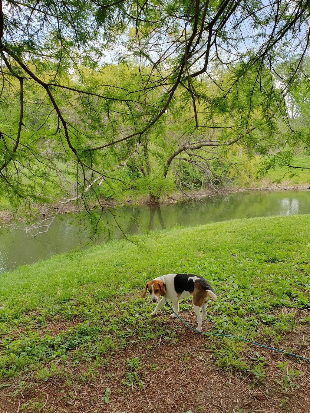 Shawnee Mission Park - Shelter 2 | Shawnee, KS 66219, USA | Phone: (913) 831-3359