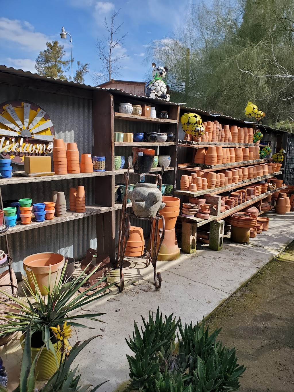 Robbys Nursery & Calico Gardens | 4002 Terracotta Ct, Bakersfield, CA 93314, USA | Phone: (661) 588-0859