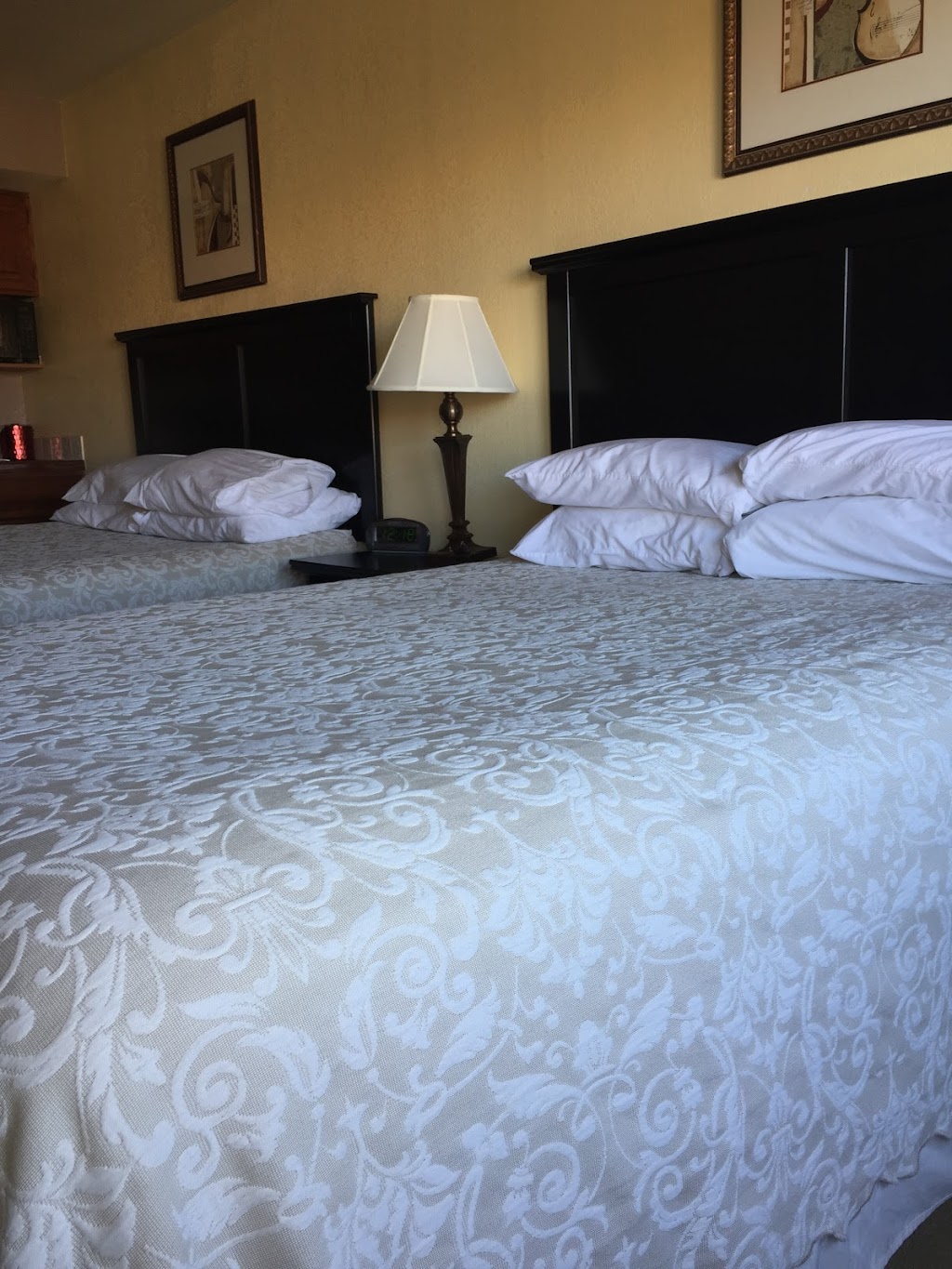 Hilltop Inn Broomfield Denver | 9009 Metro Airport Ave, Broomfield, CO 80021, USA | Phone: (303) 469-3900