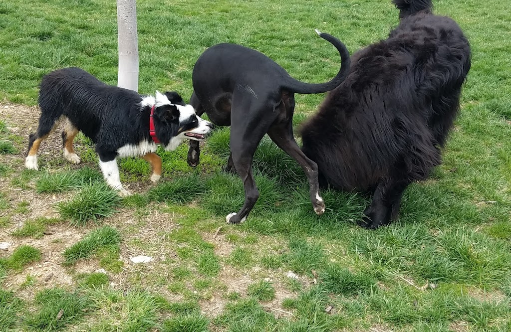 Happy Hounds Playground - Membership Dog Park | 2448 Pond Rd, Grover, MO 63040, USA | Phone: (314) 456-8358