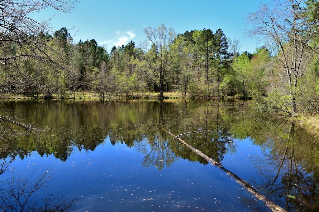 Horton Grove Nature Preserve | Jock Rd, Bahama, NC 27503, USA | Phone: (919) 908-8809