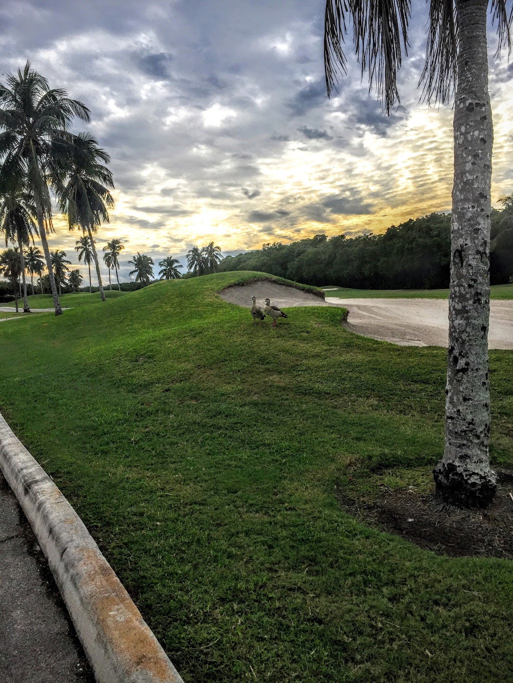 Crandon Golf at Key Biscayne 6700 Crandon Blvd, Key Biscayne, FL