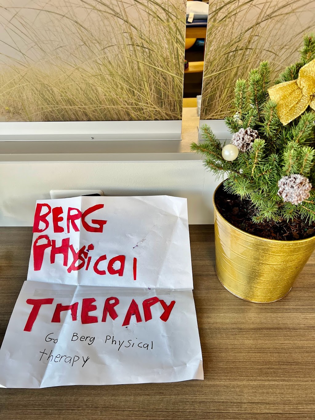 BERG Physical Therapy | 2905 US-9, Howell Township, NJ 07731, USA | Phone: (732) 416-4617